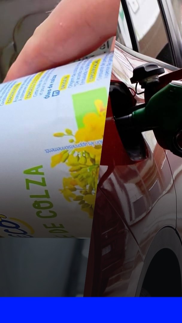 Carburants: des automobilistes se tournent vers l'huile de colza pour remplacer le diesel