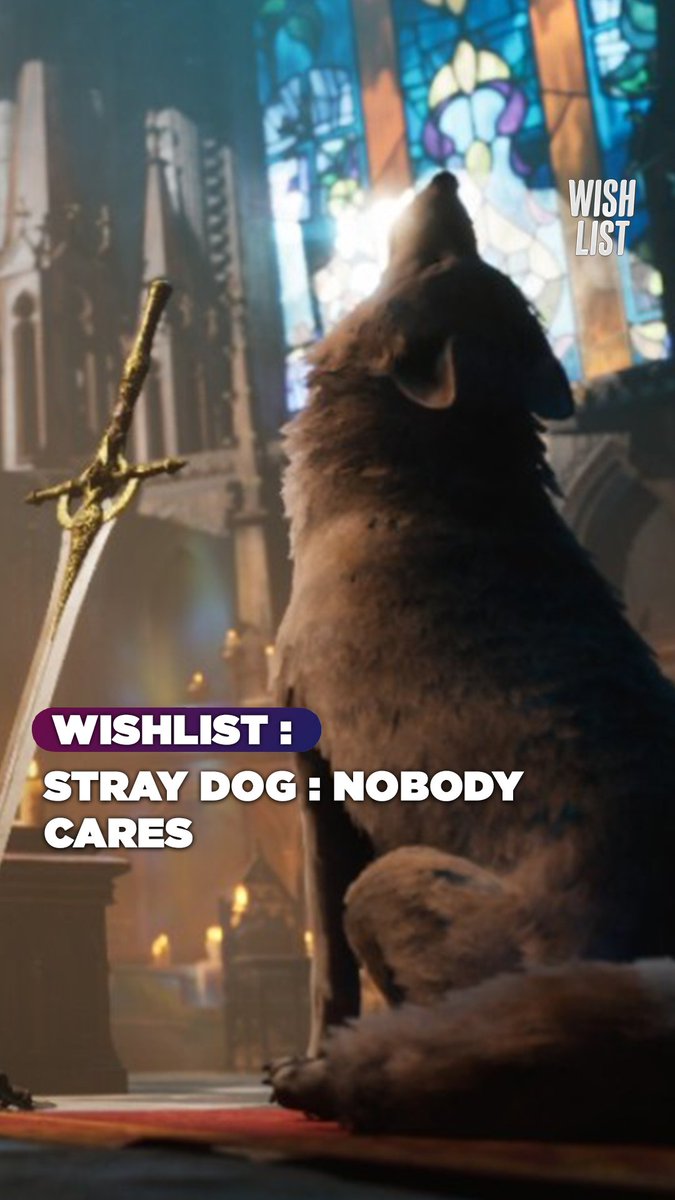 Dans ce jeu d'action très inspiré de Dark Souls, tu incarnes un chien avec une épée entre les crocs ! Ton but ? Affronter des hordes d'ennemis pour rejoindre ton maître. Ça s'appelle Stray Dog: nobody cares et c'est disponible prochainement sur PC.