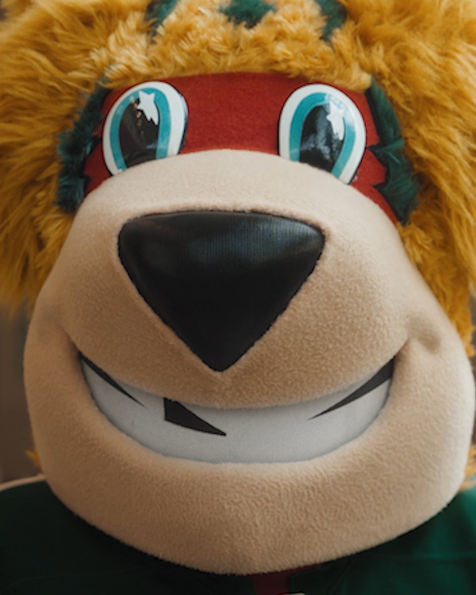Nordy chipped a tooth, but he’s not fessing up to how it happened 🦷 Watch three possible scenarios and make your guess for the chance to win game tickets and exclusive merch » #mnwild | @solventumdental