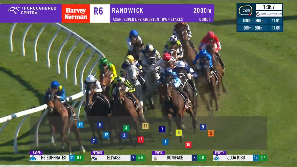 The Euphrates dominates the Kingston Town Stakes and leads all the way! A race-to-race double for Tim Clark 🙌 Australian Turf Club Gai Waterhouse AO