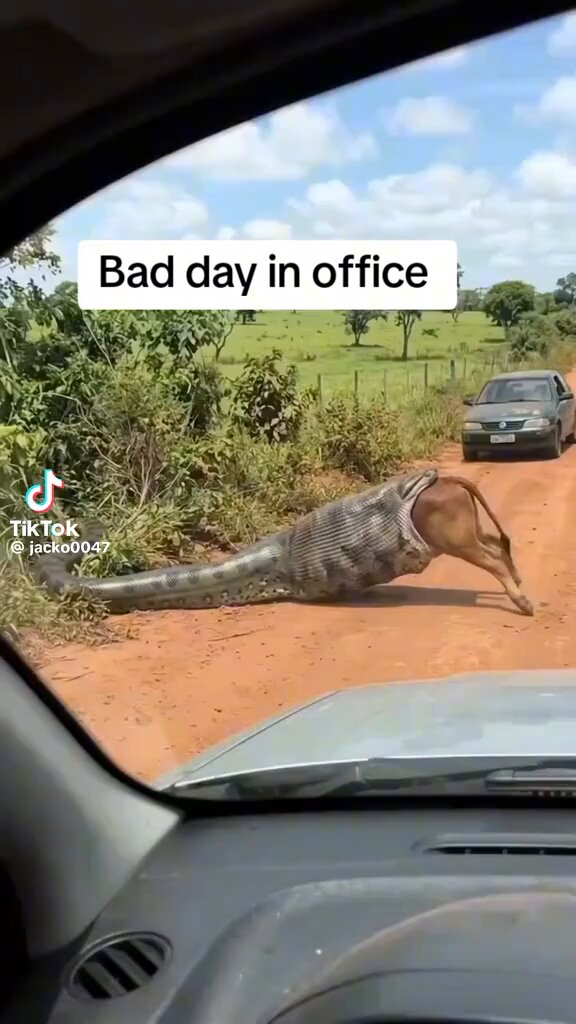 Wacha tuende sherehe