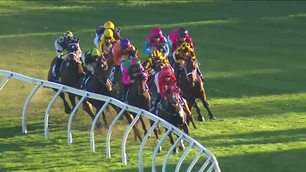 モーリス産駒の豪G1馬、ジ・エベレスト前哨戦を勝利！ 🇦🇺 1100mのG2・ザ・ショーツ。 モーリス産駒の8歳騸馬、マズが逃げ切って重賞連勝＆重賞6勝目。鞍上はレイチェル・キング騎手。 ジ・エベレスト有力候補、ジョリースターは2着。一方、ニンジャは大きく崩れて9着。