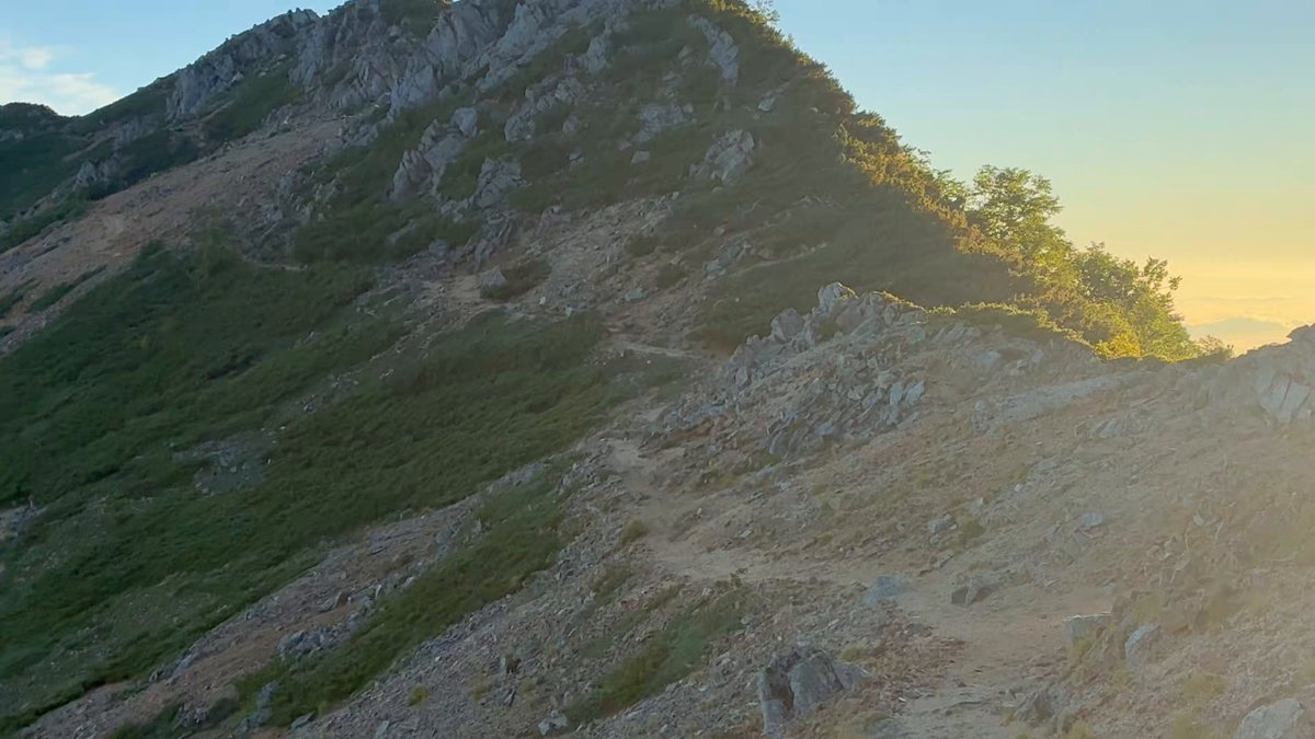 逃げるウサギと追いかけるテン。 スタッフが大天井岳付近で撮影しました。 この動画の前に、スタッフの近くでわちゃわちゃと追いかけっこをしていたそうです。 まるでトムとジェリーですね。
