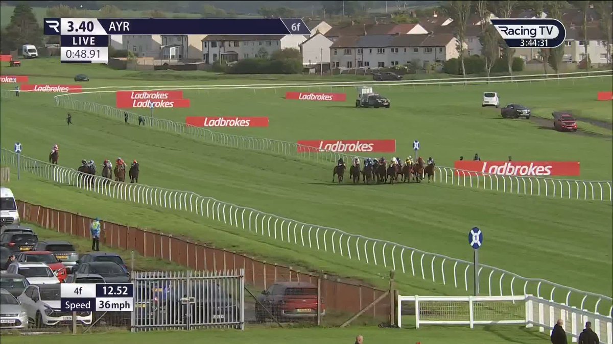 🏆 CUP HERO 🏆 Pellitory lands the £180,000 Ayr Racecourse Gold Cup. Ladbrokes | David O'Meara