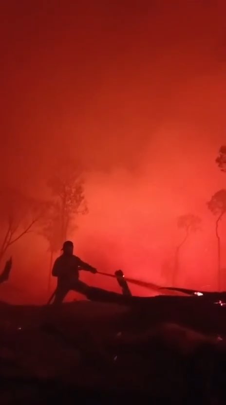 sabtu (19/9) kotawaringin barat, kalimantan tengah. lindungilah mereka yang berjuang di garis depan dan ampunilah kami ya Tuhan. segeralah turunkan hujan untuk memadamkan api ini 😭 🎥: bagasstar