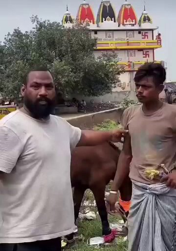 भगवा का अपमान कर रहा था तो एक भाई ने कान सेक दिये👍