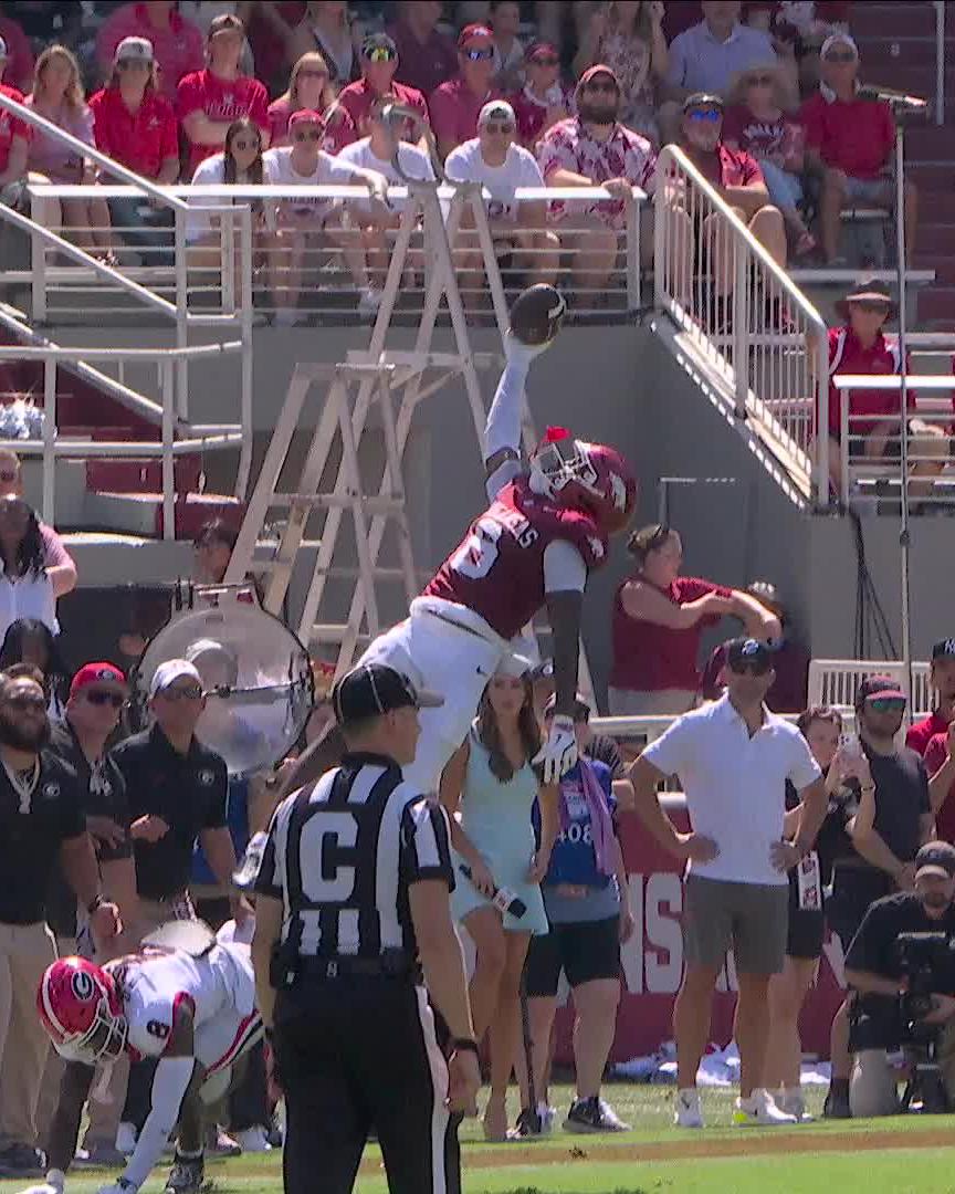 UNREAL CATCH BY CHRIS MARSHALL 🤯 Arkansas Football 🐗 x 📺 ABC