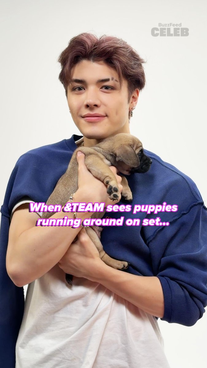i've never wanted to be a puppy more than rn 😭💗 &TEAM plays with the cutest puppies and answers our questions on BuzzFeed Celeb on YouTube: #andTEAM #markonme #エンティーム #앤팀