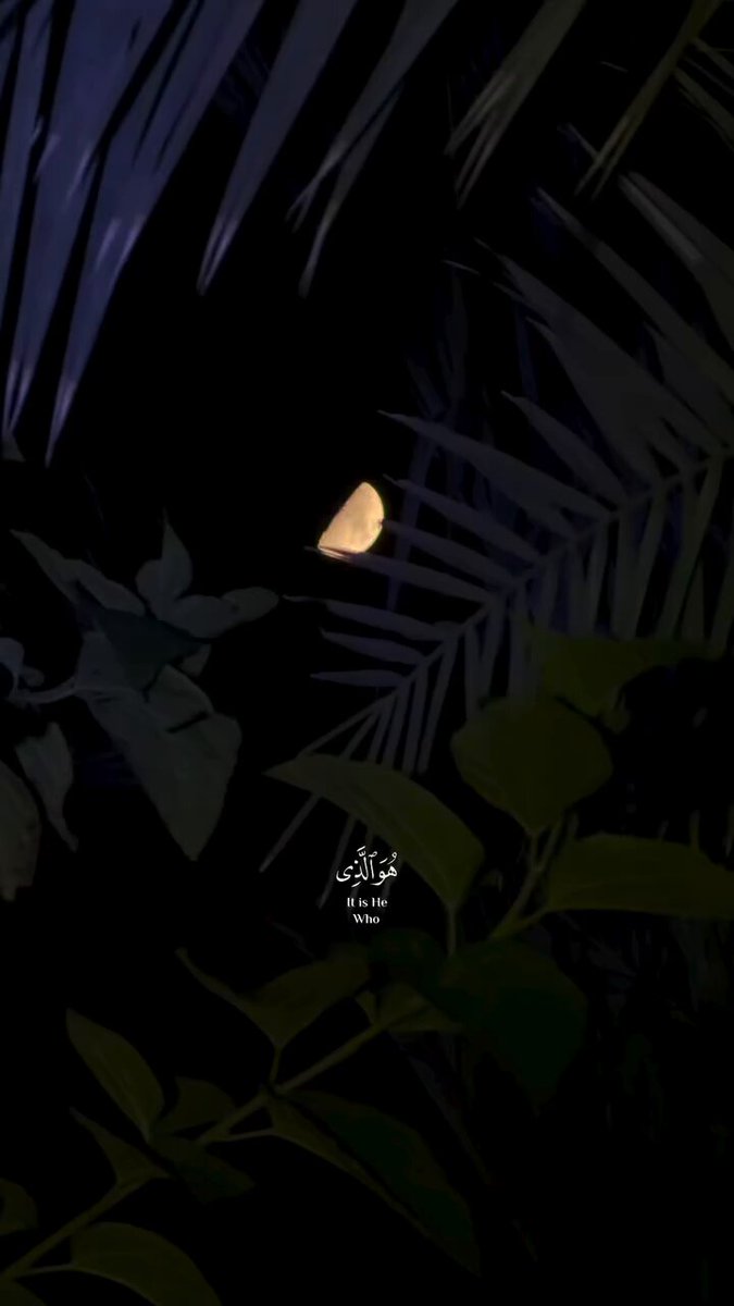 ليطمئن قلبي 🤍🌷