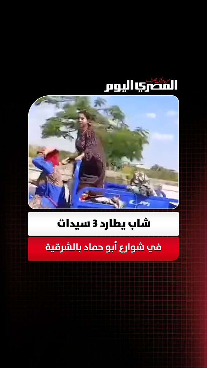 سرقن محصول الأرز.. شاب يطارد 3 سيدات في شوارع أبو حماد بالشرقية