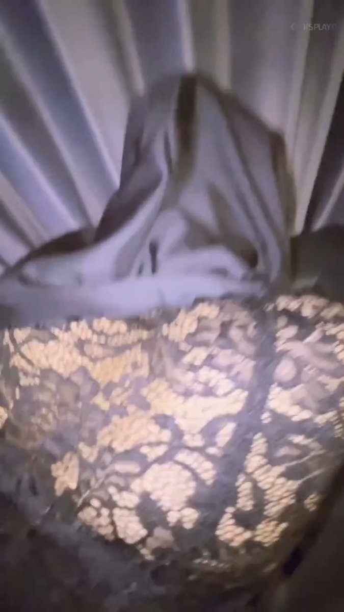 نيك كس يمنيه اسمعو صوتها الكحبة🔥🔥🥵 تطبيق يجنن تقدر تكلم عليه بنات قحاب وديوثين ومحارم من كل نوع 🤤 حمل من متجر التطبيقات من هنا👇 اشتراك مجاني و تقدر تعيش متعتك