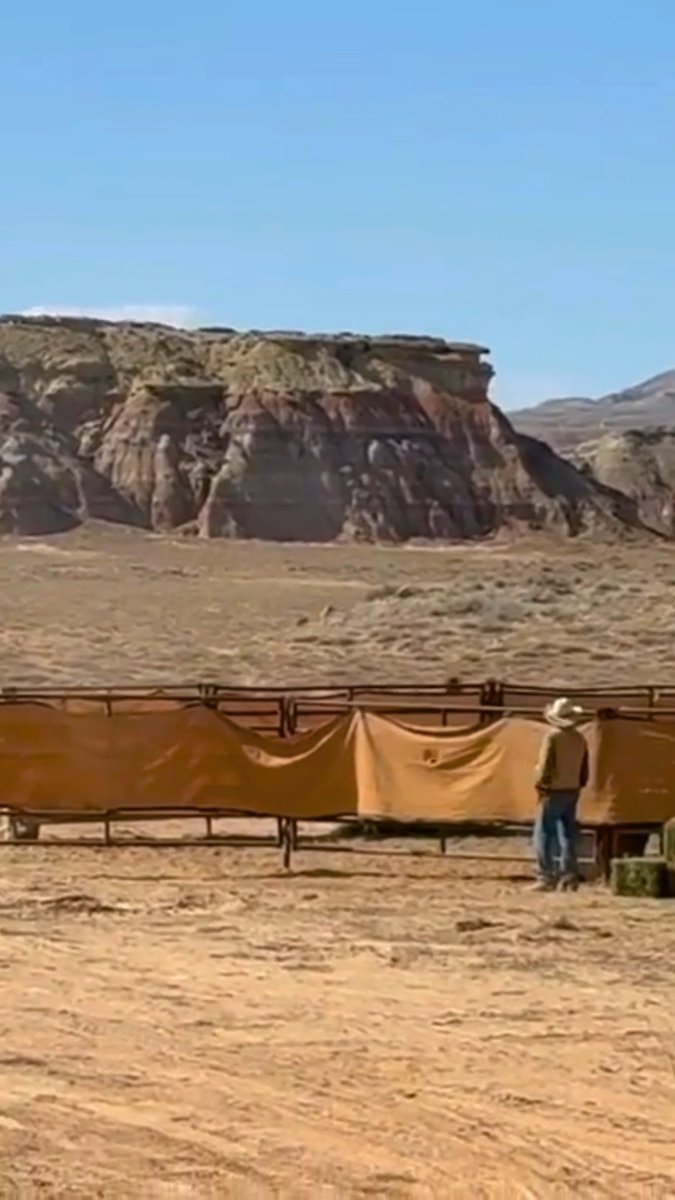 A second chance to stay wild. 🐴 More than 100 wild horses returned to the Bighorn Basin after a roundup of nearly 350 in Wyoming. Back on the range, where they belong. 🤎 Support the Conservation: Repost ABC4 News | Video: Jacqueline Alderman