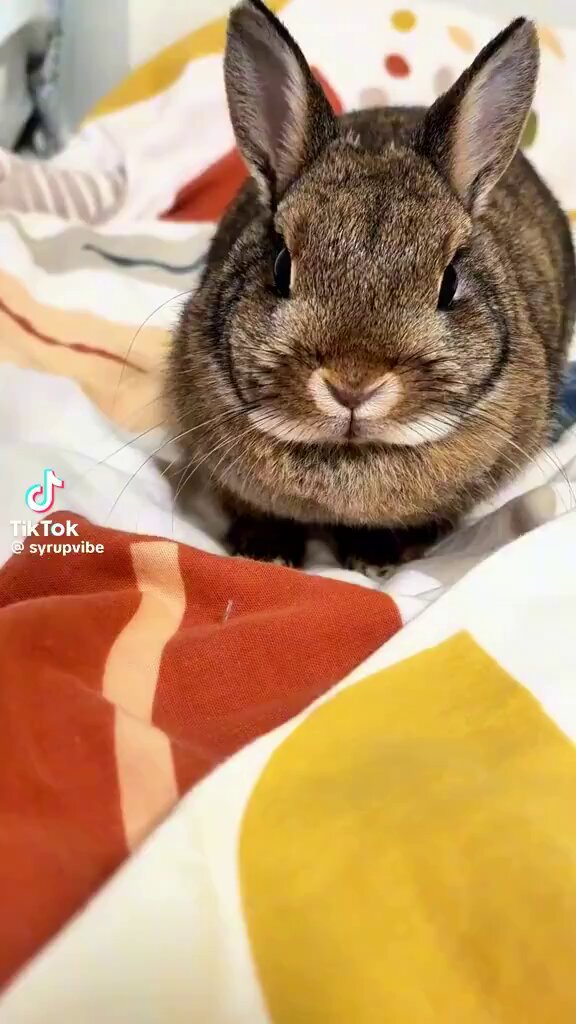 Pare com isso, ele se lembrará enquanto você dorme
