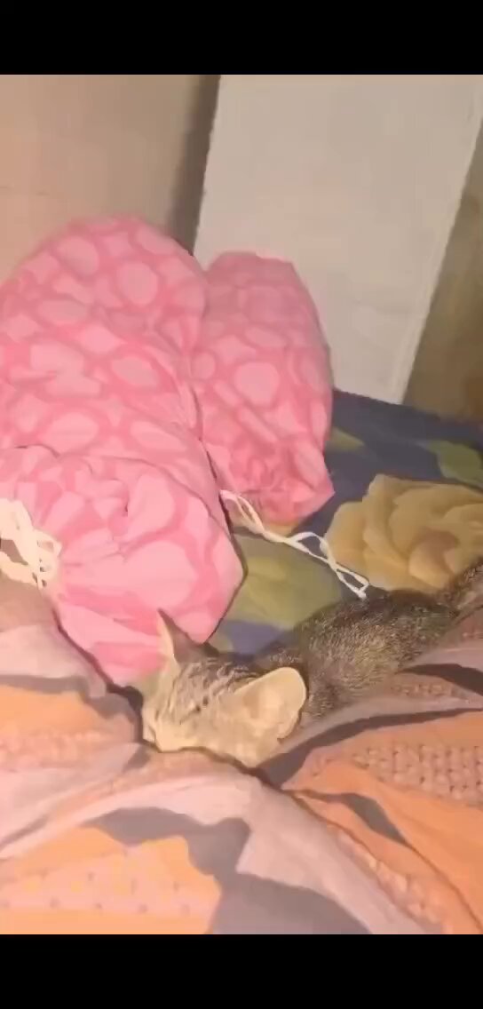 كسى مولع نار
