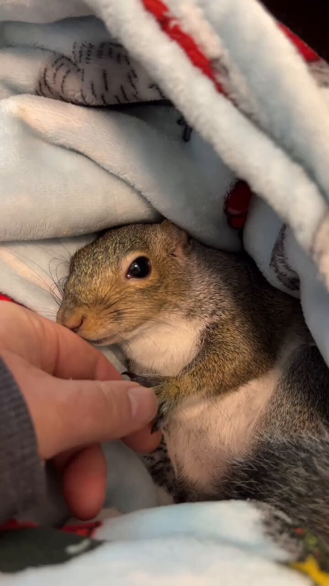 Everything is fine as long as I'm holding mom's hand.