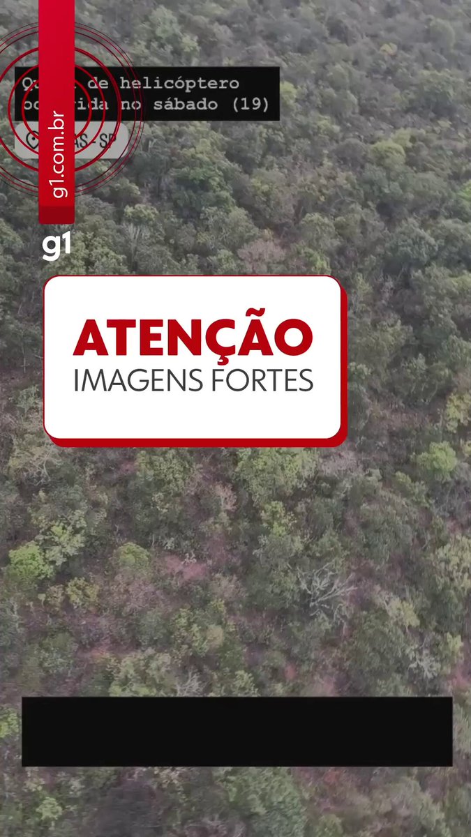 Vídeo mostra resgate de sobreviventes em área de mata fechada após queda de helicóptero em SP ==> #g1