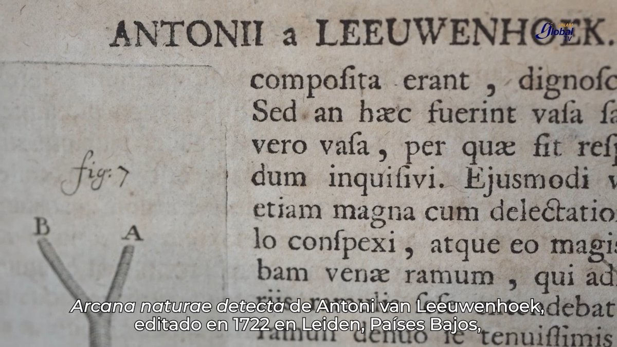 Un grupo de investigadores, liderado por #ExpertoUNAM, halló un ejemplar de 1722: “Arcana naturae detecta”, de Antoni van Leeuwenhoek, en el Fondo Reservado de la Biblioteca Nacional de México. El libro documenta la primera observación de protozoarios, bacterias y espermatozoides de diversas especies. #HistoriasUNAM de #UNAMGlobalTV >