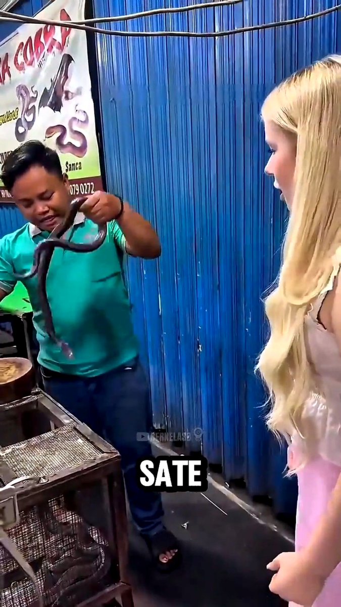 Karyawan penjual Sate 𝙐𝙡𝙖𝙧 𝘾𝙤𝙗𝙧𝙖 🐍 digigit saat mau memotong 𝙐𝙡𝙖𝙧 𝘾𝙤𝙗𝙧𝙖. Alih-alih dibawa kedokter, mereka memilih menyiram air panas Bekas gigitan, membalut gip Danberi air kelapa 😶 Menurut kalian apakah langkah ini tepat atau tidak??