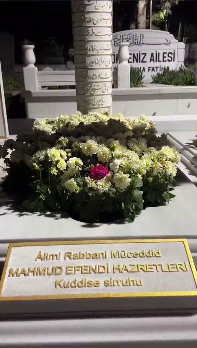 Sultanımıza gece ziyareti.. La ilahe illa ente subhaneke inni küntü minezzalimin 😓😣