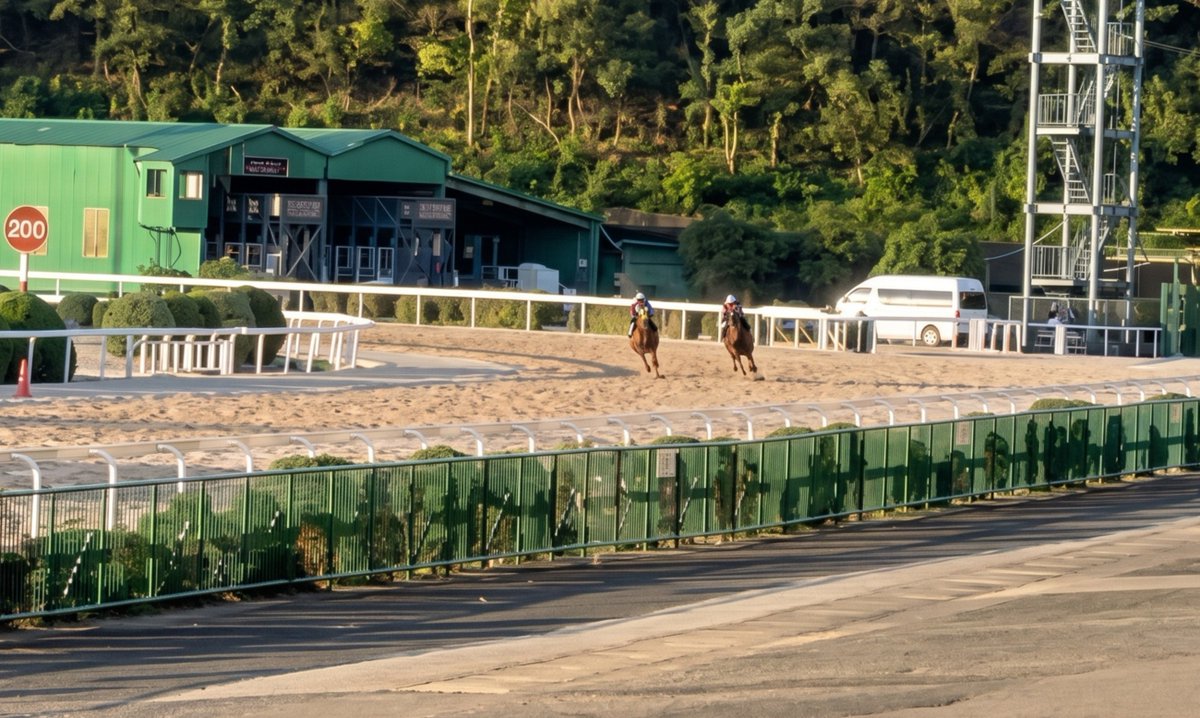 今朝の最終追い切り。古馬の強豪を相手に、永野猛蔵君がビシっと追いました。手応え十分だったそうです。これで仕上がりました。今度は負けられません。 サキドリトッケン🐴(外)