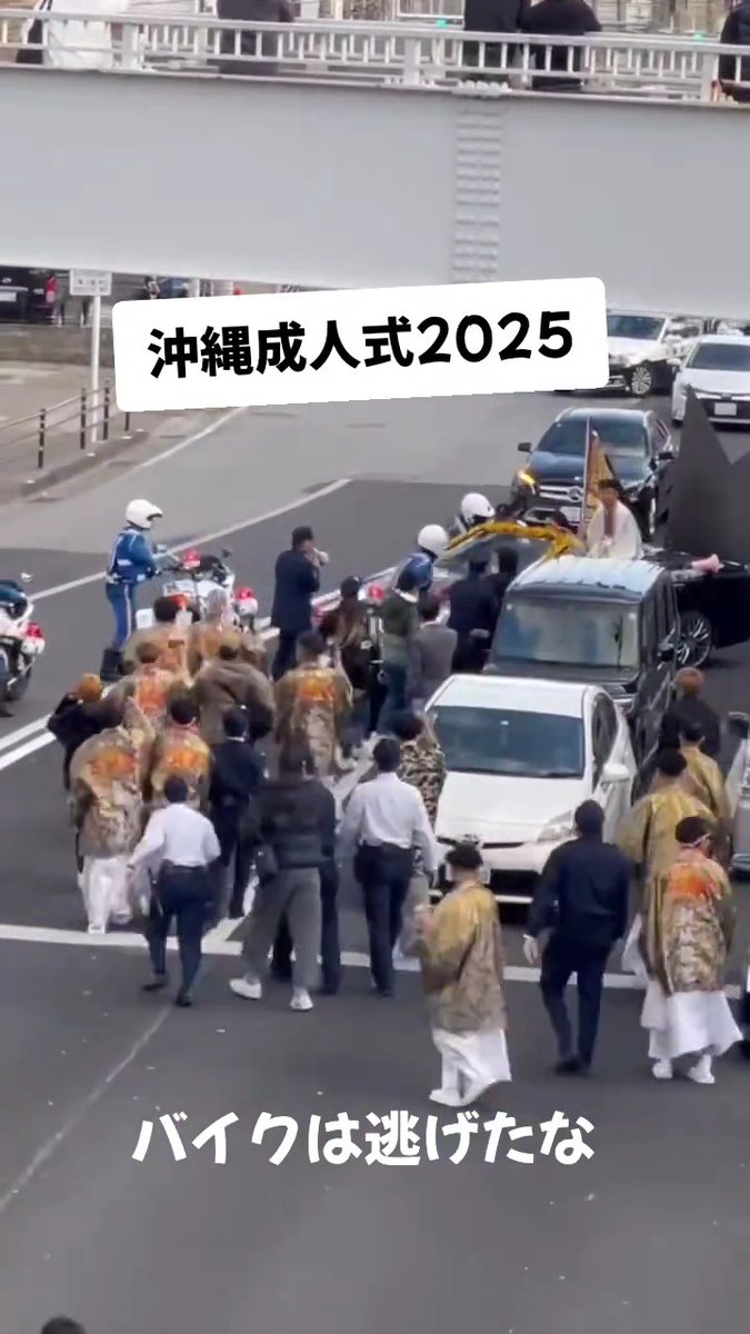 Bosozoku Gangs Hits Police Hard .