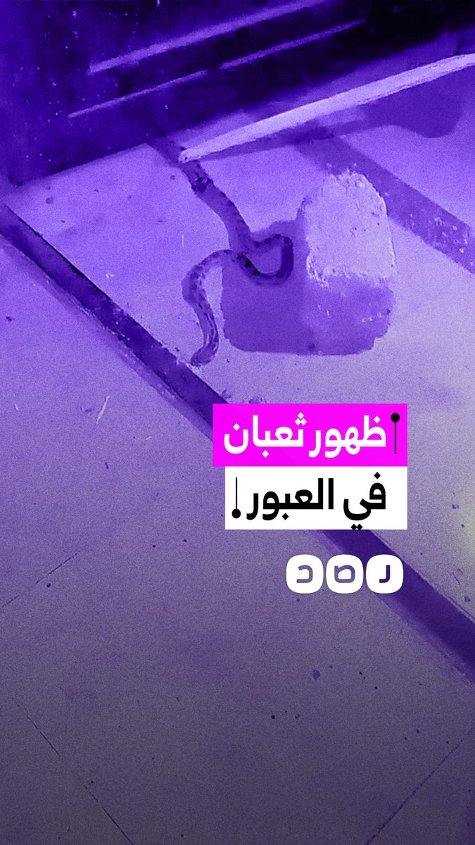 ظهور ثعبان في حي الفيروز بالعبور يثير مخاوف سكان المنطقة