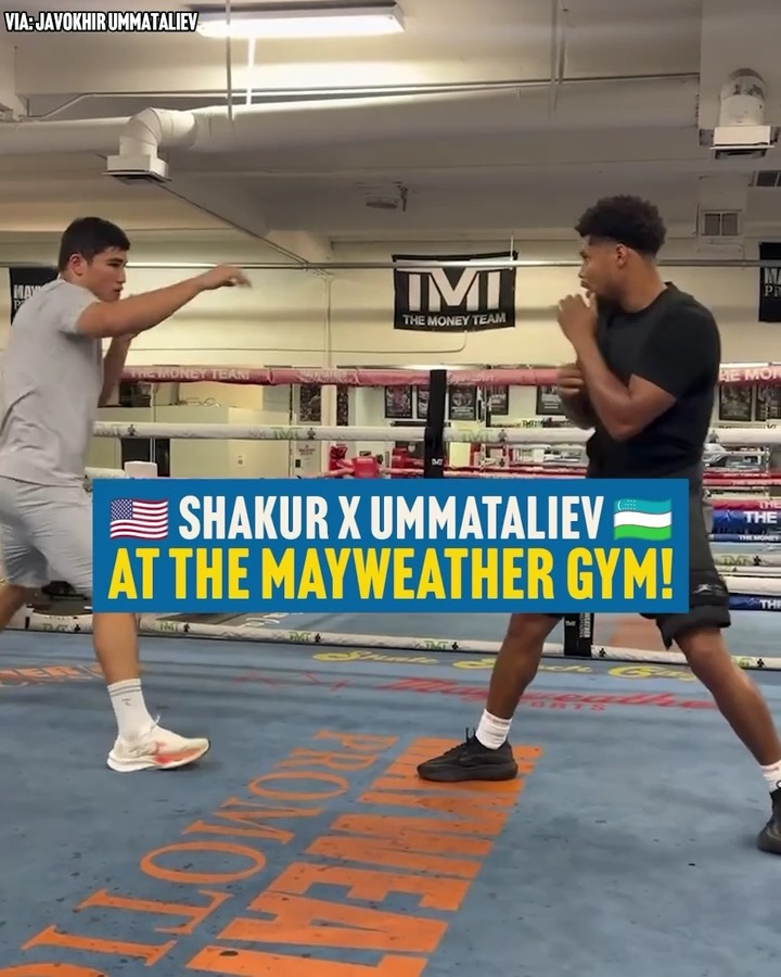Ring junior welterweight king Shakur Stevenson going through the motions with highly-rated Uzbek prospect Javokhir Ummataliev 💪