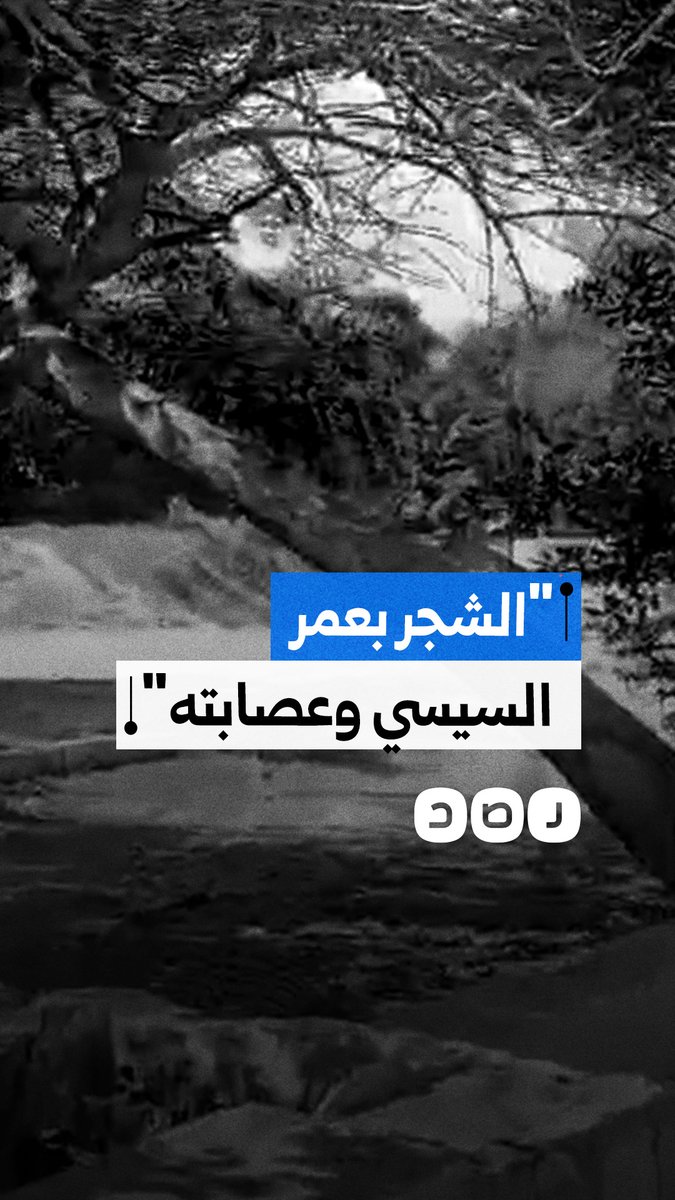 "عايزين يصدروا فحم لإسرائيل".. شاب يهاجم إزالة أشجار حدائق الشلالات بالإسكندرية