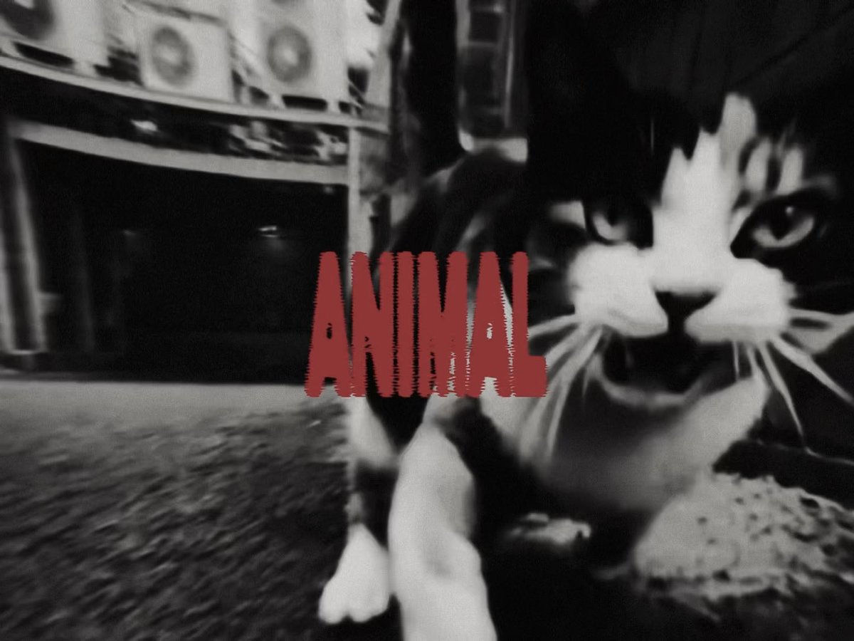#boynextdoor — animal visualizer