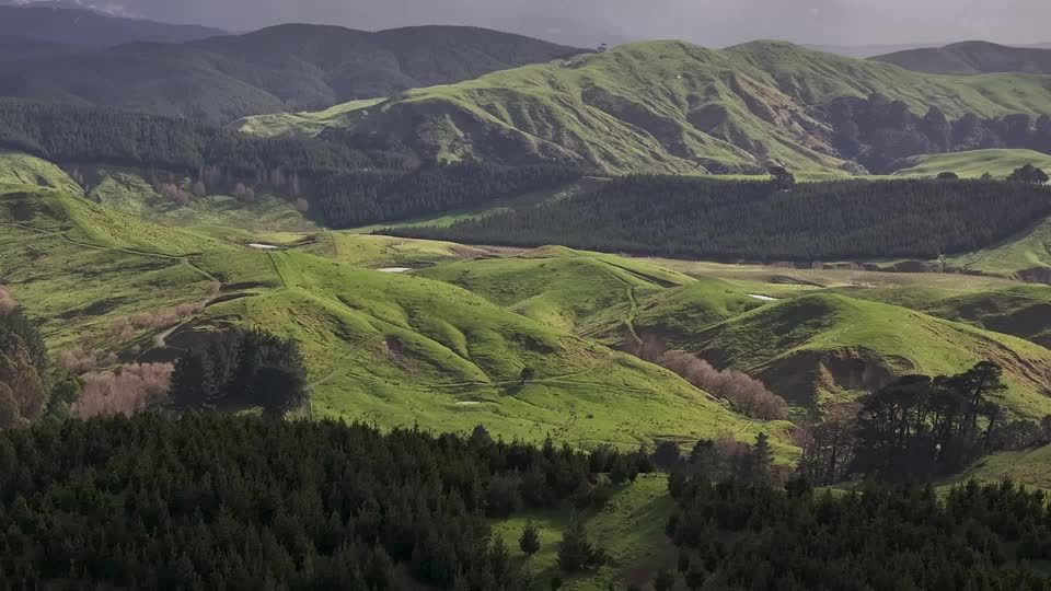 Some farming communities in New Zealand say the country's climate policies are transforming the land around them. The trees generate carbon credits that help offset emissions, but the shift from sheep farming to forestry is coming at a cost