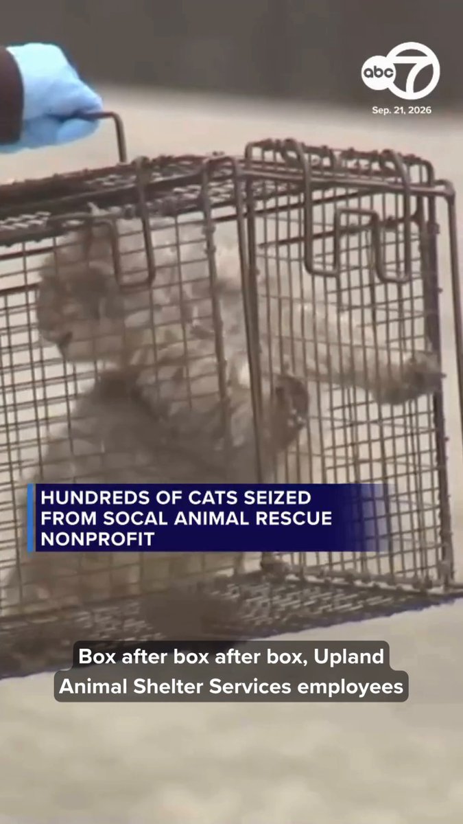 Hundreds of cats were seized from an Upland animal rescue nonprofit, now at the center of an animal abuse investigation. Police served a search warrant at the facility after receiving reports of deplorable conditions inside. They estimate about 300-500 cats were seized from the building.