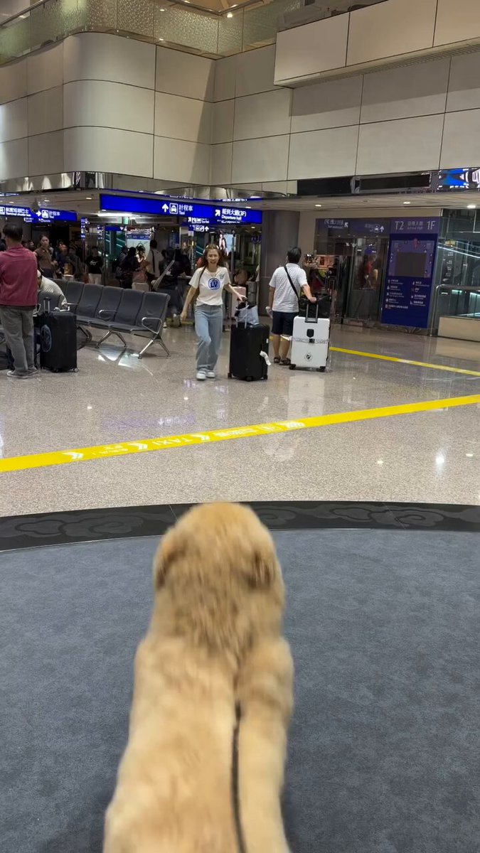 Best kind of welcome..happy pupper..🐕🐾😍