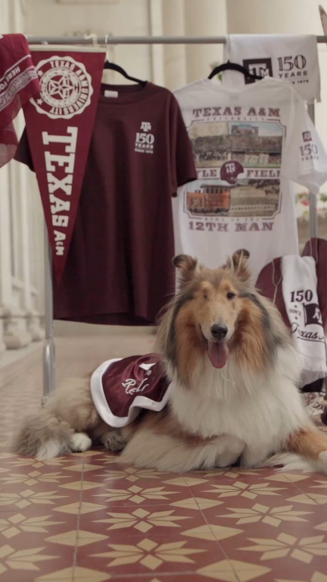 This gear belongs on YOU, Ags! Pick up Texas A&amp;M’s exclusive 150th Anniversary merch line at