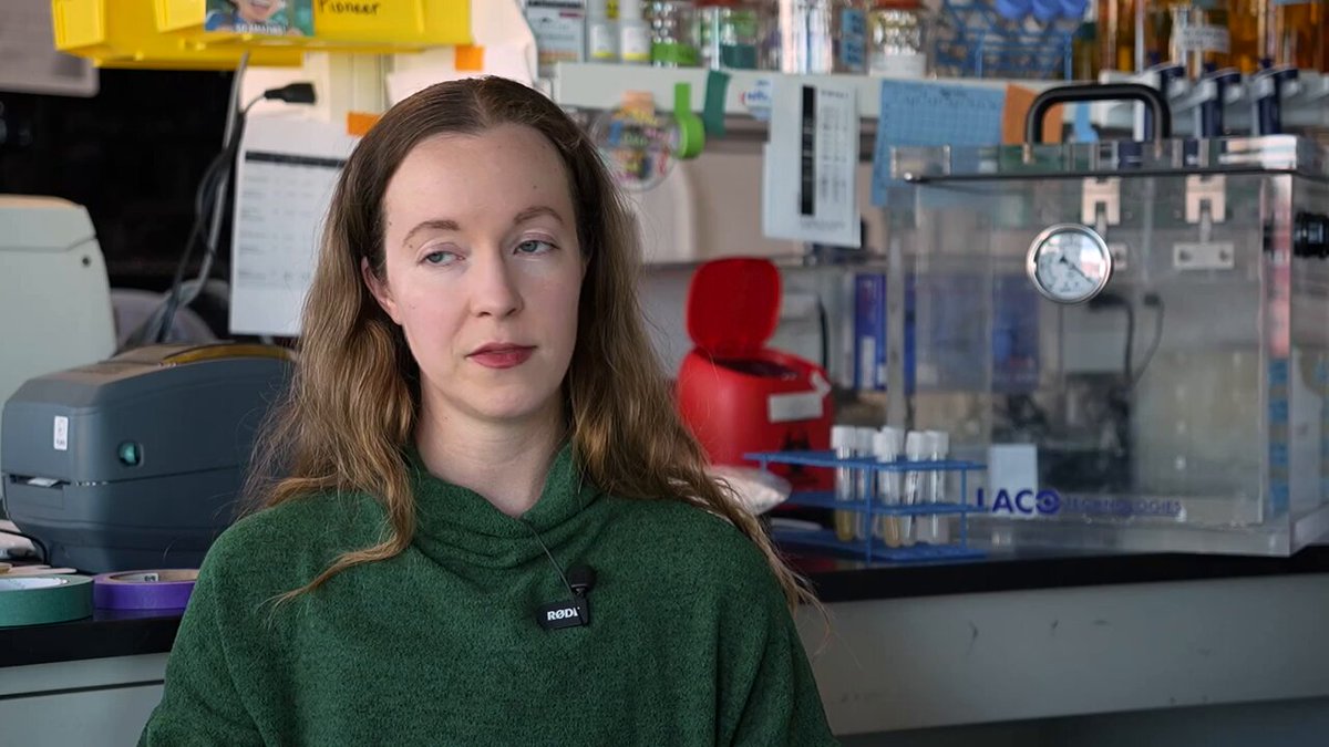 Breaking: PioneerLabs has engineered a microbe able to live on Mars, consuming solely nutrients found on the planet to create building materials. I interviewed Erika Alden DeBenedictis, the CEO, to learn how they did it and what might come next. Much of the interview was about bottlenecks to growing life on Mars; the planet has tons of water, but only in the form of ice. (If you melted all that ice, it would create an ocean 100 feet deep across the entire planet!) Similarly, we talked about the dirt. Martian regolith has salts, heavy metals, and perchlorates that are toxic to many organisms. Some microbes on Earth are able to break down these toxins, though, so Pioneer is engineering them to make them better at eating those toxins while adding nutrients back into the soil. This could possibly help support plant life in the future. Watch the full episode and subscribe to Asimov Press for more. 0:00 A first microbe engineered for Mars 5:03 Simulating Martian chemistry 8:27 The five "pioneer species" 17:20 Water, warming, and nitrogen 26:39 Radiation, growth rates, and poor measurements 35:49 Starship 41:05 Why create a second biosphere?