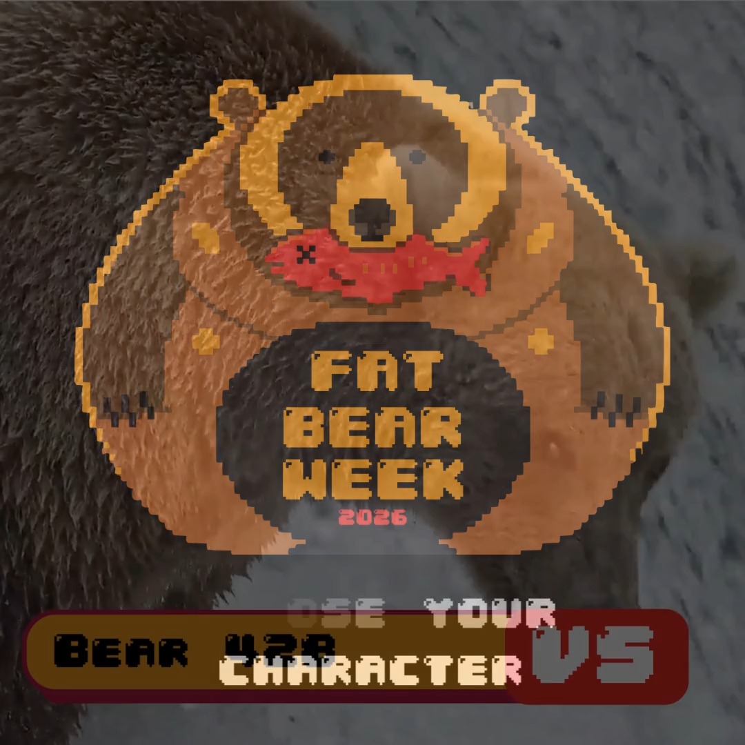 Ready players? Let's vote 🐻 Round one is open at