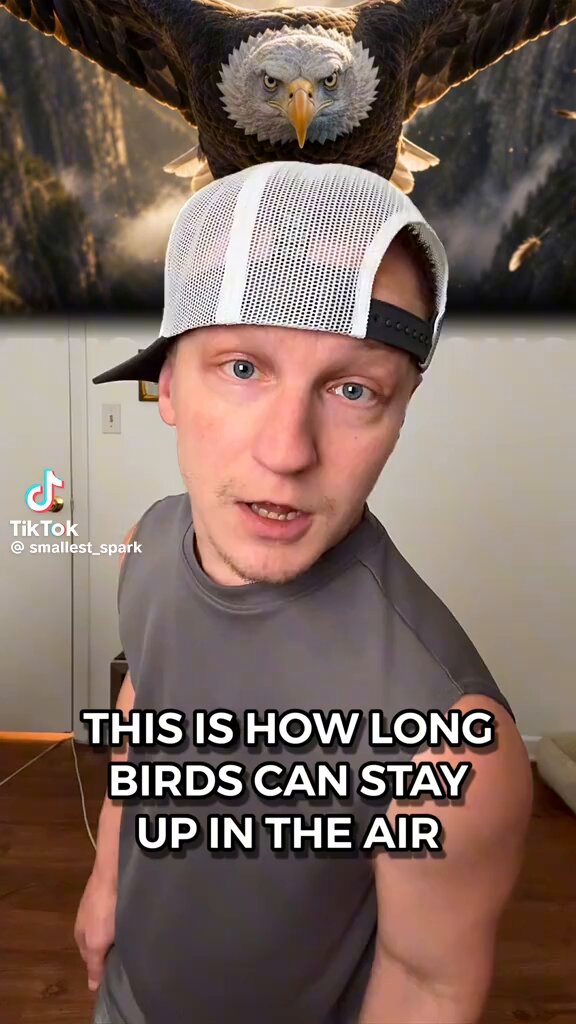 The way the guy talks really amuse me 😂😂😂😂