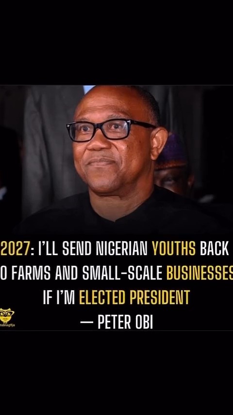 A very interesting perspective on Bola Tinubu and Peter Obi