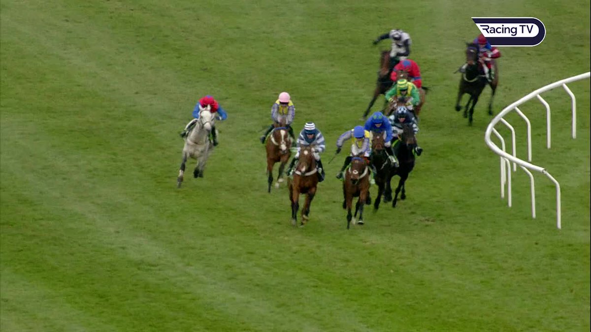 Hurricane Fly's first Champion Hurdle win in 2011 ❤️