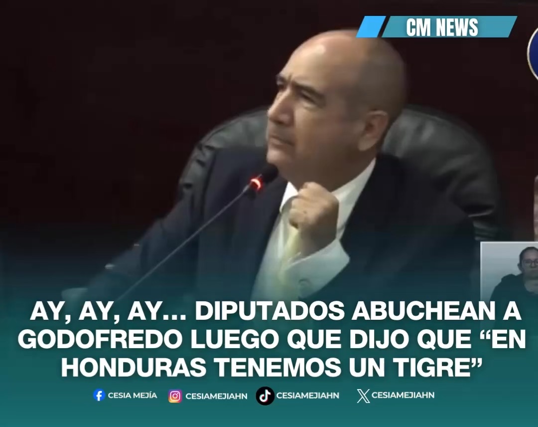 ➪Burlas, gritos y abucheos en el Congreso Nacional contra el vicepresidente Godofredo Fajardo luego que dijo durante su intervención que “En Honduras tenemos un tigre” haciendo referencia al presidente legislativo Tomás Zambrano. #lifestyle #noticias #honduras #cmnews