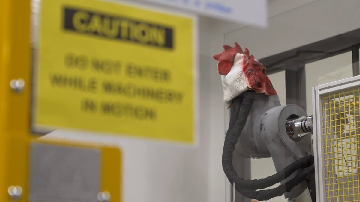 Diane Heinle, a mechanical engineer, answers questions about endurance testing for Stretch, how her team simulates years of wear on robot parts over a brief time in the lab, and why there are bird heads on the cable testers. Read the full interview: