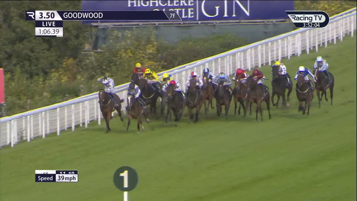 25/1 Nick Bradley Racing threw three darts at the £100,000 British EBF 2YO Fillies' Series Final Goodwood Racecourse and he's hit the bullseye with Poppy Foxy 🎯