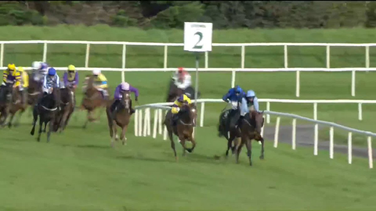 Mullins 🤝 Mullins (again) 🏆 For the second consecutive year, Willie and Danny Mullins team up to land the Guinness Kerry National, this time with Ballygunner Castle. Listowel Races | Danny Mullins