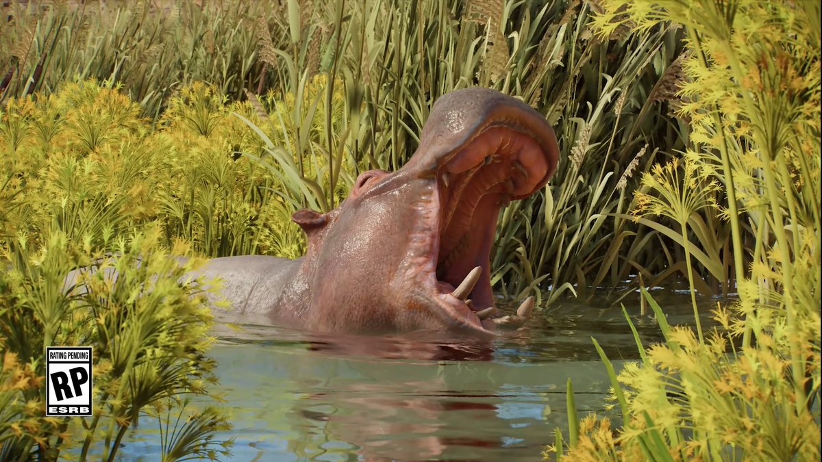 The sound of you building the perfect Hippo habitat on 13 October 🦛 Pre-order now: