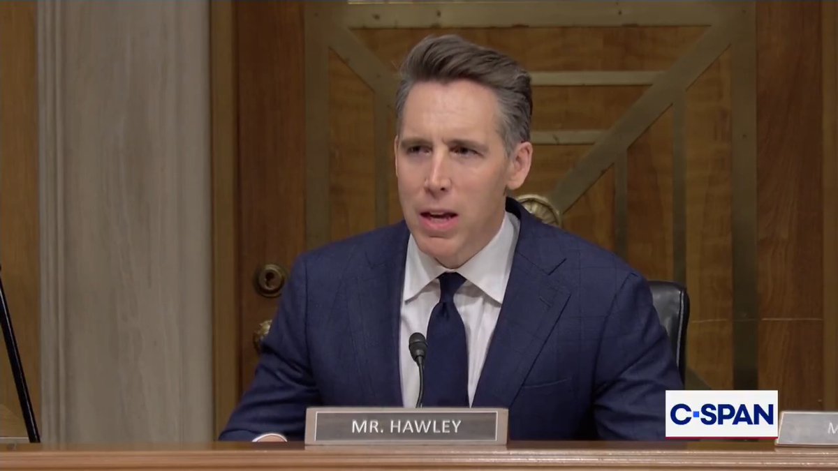 Sen. Josh Hawley (R-MO) on Flock CEO expanding surveillance network: "If you haven't heard of Flock, all I have to say is, Flock's probably heard of you."