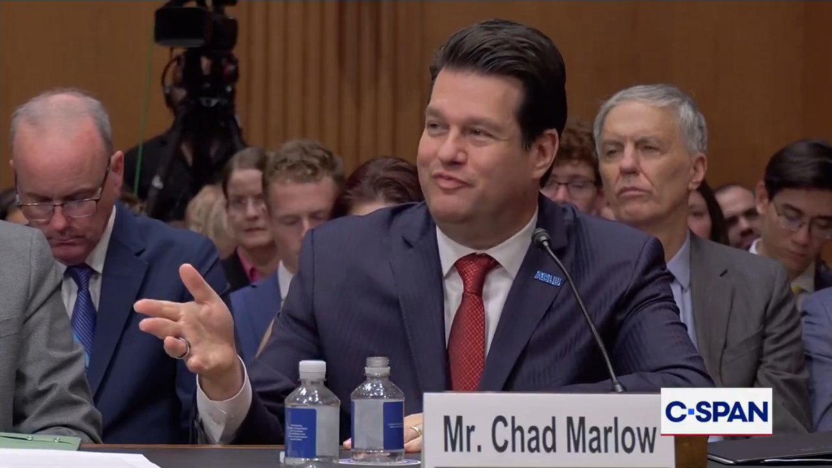 ACLU Lawyer Chad Marlow on Flock AI cameras being used by ICE: "Flock never acknowledges that no security procedures it has put in place do anything to protect against the misuse of its system."