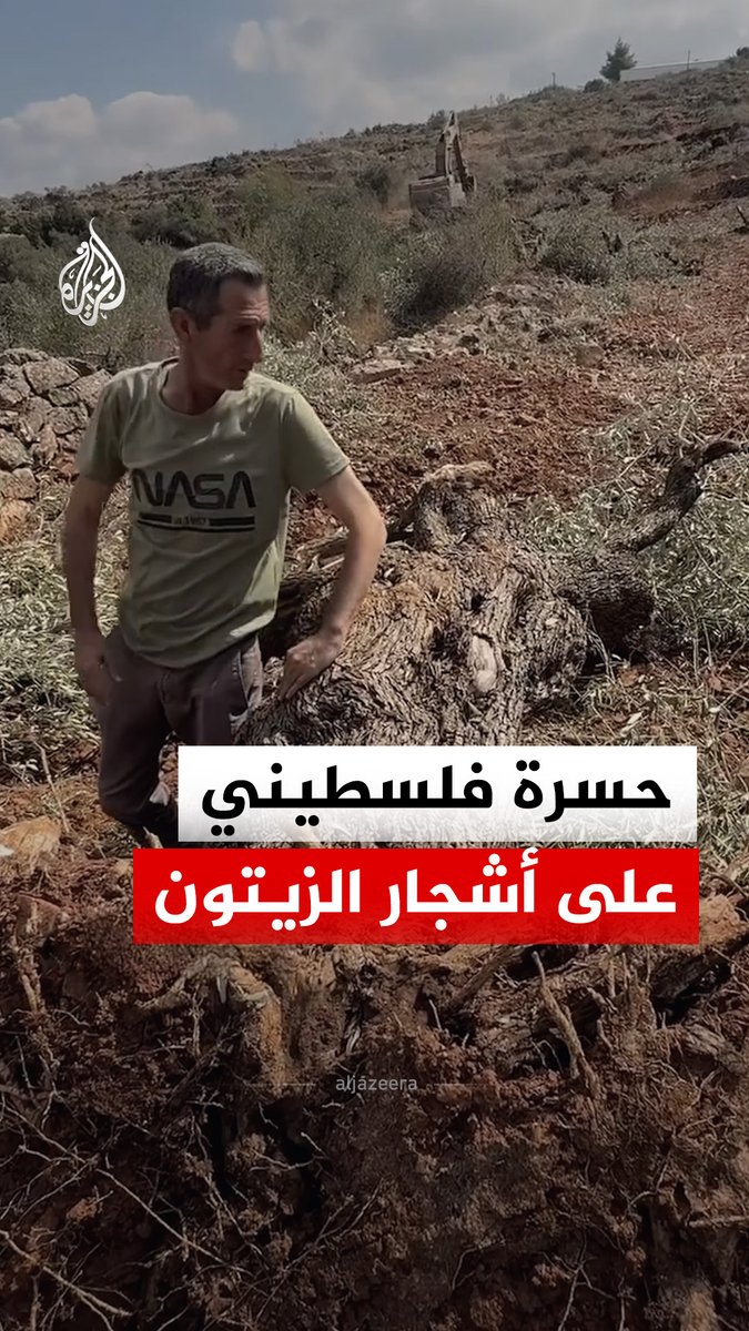 حزن وقهر فلسطيني بعد تجريف الاحتلال الإسرائيلي أشجار الزيتون في قرية دير نظام شمال غرب رام الله بالضفة الغربية #فيديو