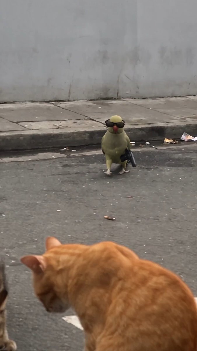 Gangster Parrot is in the house. Made with Seedance 2.5 Prompts below