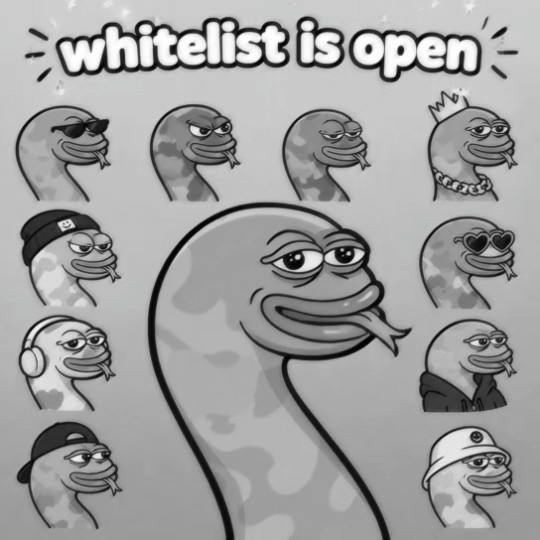 the Slippy whitelist is open. Nucleus is giving GTD spots for both on-chain reputation and current contribution. one snake, 12 personalities. holders get IP rights to their own Slippy. curious if Slippy can grow bigger than the original snake.