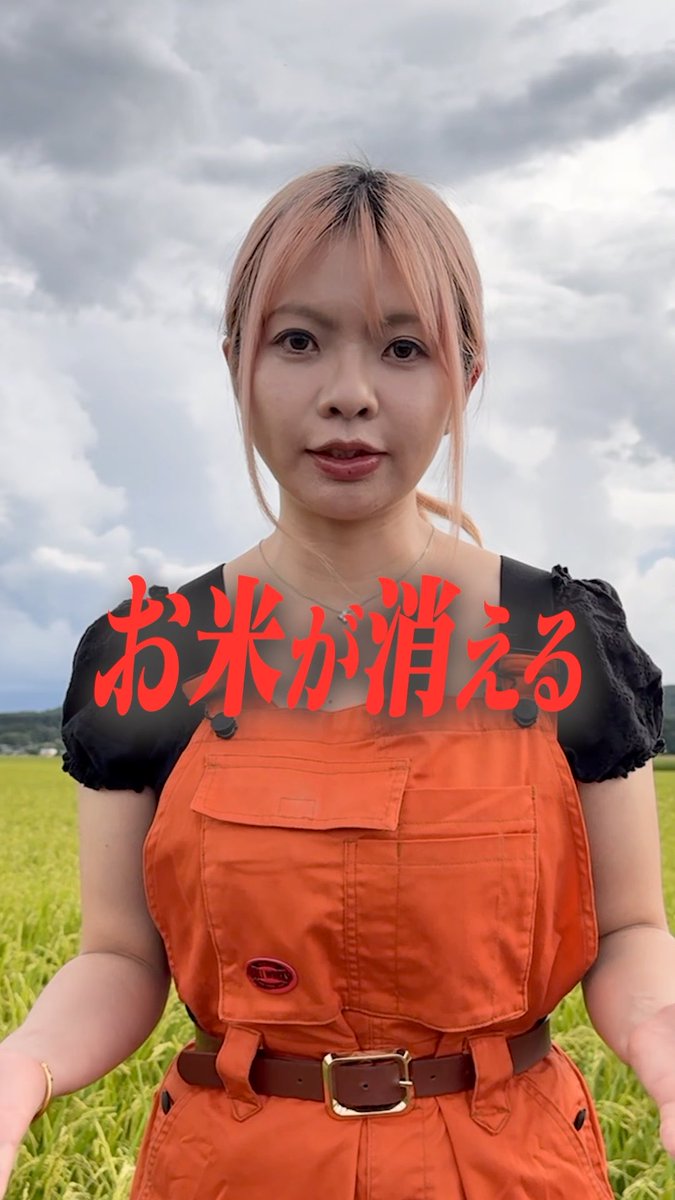 このままだと、この国からお米が消えます。 トラクター、燃料、肥料。 コストはこの数年でほぼ倍になったのに、 お米の値段は上がらない。 真面目に作るほど、赤字になる。 この20年で、米農家は半分に減りました。 私は、300年続く農家の娘です。 子どもの頃、父が田んぼに立つ姿を見て育ちました。 あの景色が、今、消えようとしています。 私は、終わらせたくない。 お米を「消費」するものから、 「投資」するものへ。 田んぼの未来を、会社で引き受ける。 それが、THE FARM OWNERです。
