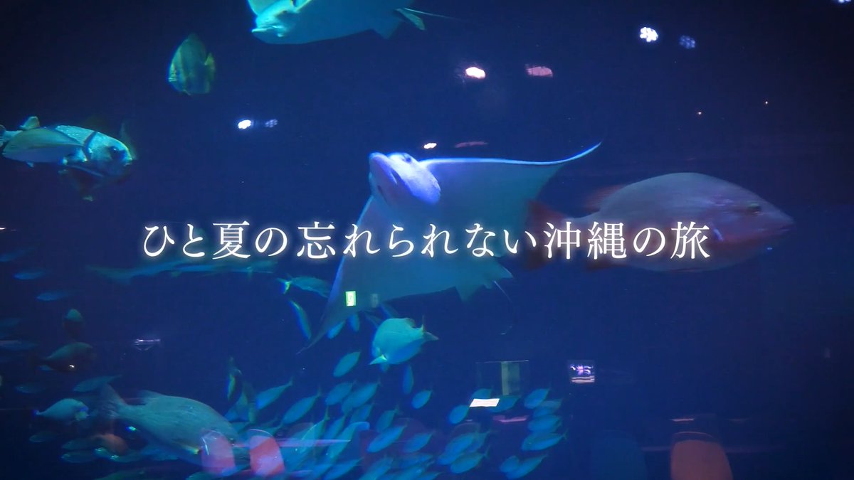 #ãã©ã€ã³ã°ãžã§ã€ ã·ãŒãºã³2 Episode2 ææ¥19:00ãé
ä¿¡ã¹ã¿ãŒãâïž ä»åã¯ãã±ã®ç®çã§ããã⊠ããã©ã€ã³ã°ããŒããã®OPæ åãç¹å¥å
¬éð«¶ #ãã¢ãžã§ã€ âJOY_official Hulu Japan